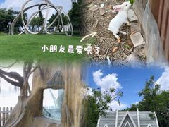 -顺峰山公园