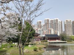 -堤角公园