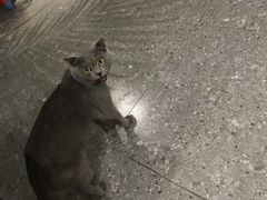 -NOTOOCAFE不二咖啡馆(岩前店)