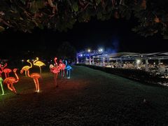 -渔家火锅·海鲜自助餐·演艺(亚龙湾天域酒店)