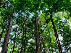 -桤木河湿地公园