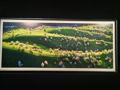 -罗红摄影艺术馆