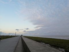 -芦潮港集贸市场