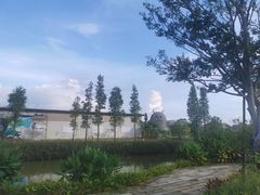 -江门古劳水乡旅游区
