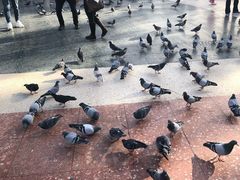 -加泰罗尼亚广场