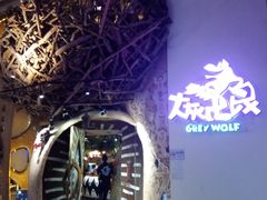 -大灰狼(中心书城店)