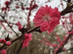 -城市运动公园(未央区)