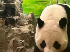 -柳州市动物园