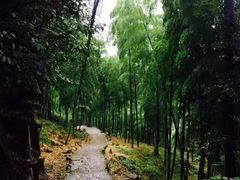 -藏龙百瀑风景区