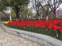 -杭州师范大学(下沙校区)