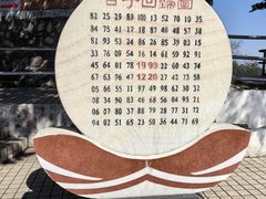 -板樟山森林公园