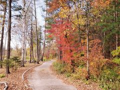 -长白山凯悦酒店·市集咖啡厅