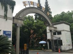 -江湾体育中心游泳馆
