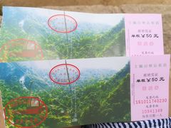 -王顺山国家森林公园