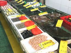 -鸿达渔港
