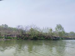 -长田漾湿地公园