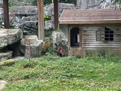 -黔灵山公园