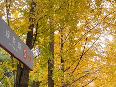 -四川大学(望江校区)