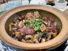 -红星光发煲仔饭(文海店)