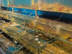 -仙螺岛海鲜自助餐厅(总店)