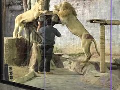 -清迈夜间动物园