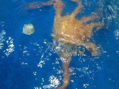 -盒马鲜生(杭州运河上街店)