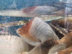 -蓝珊瑚蒸汽海鲜餐厅(龙奥店)
