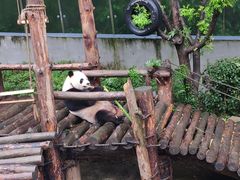 -黔灵山公园