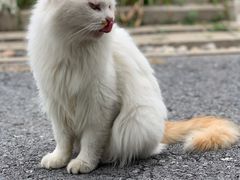 -天津东丽湖风景区