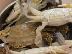 -四海蒸鲜蒸汽海鲜自助(北戴河店)