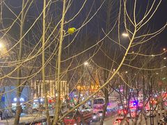 -武汉关码头(轮渡站)