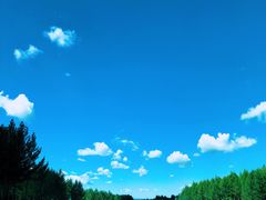 -塞罕坝国家级自然保护区