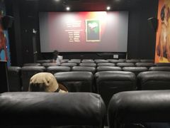 -大光明丽星VIP影城(昌里路杜比全景声店)
