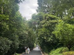 -合肥野生动物园