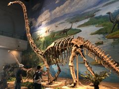 -自贡恐龙博物馆