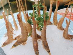 -中苑海韵