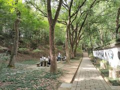 -上海佘山国家森林公园天马山园