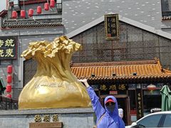 -德顺源·非遗烧麦·老菜(大观园店)