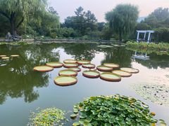 -国家植物园南园