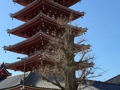 -浅草寺