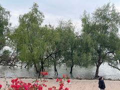 -宝安西湾红树林湿地公园