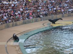 -秦皇岛乐岛海洋王国