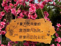 -北京凤凰岭