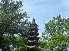 -玉苍山国家森林公园