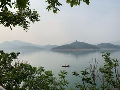 -望湖烤鱼