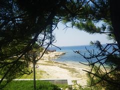 -养马岛旅游度假区