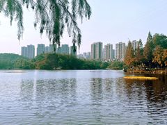 -重庆彩云湖湿地公园