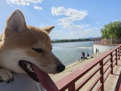 -绿堤公园
