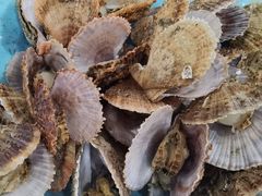 -威海渔村(黄兴路店)