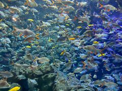 -成都浩海立方海洋公园